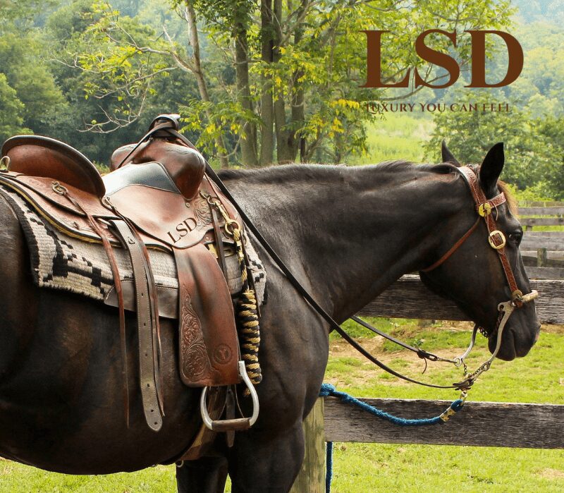 Horse Riding Saddle USA